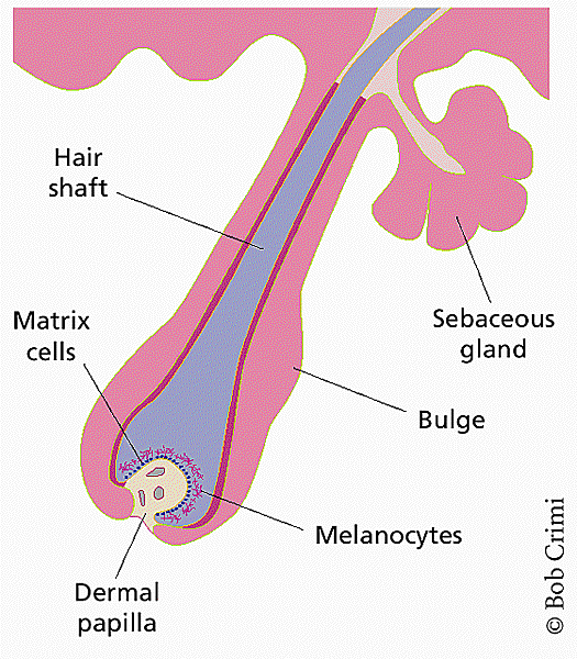 nbt0100_20_F1