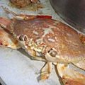 螃蟹1.JPG