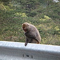 2011-04-04-嘉義一日遊032.jpg