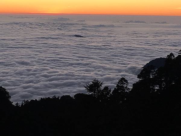 IMG_8229.JPG IMG_8229.JPG