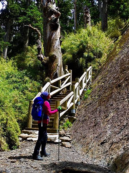 S__25059370.jpg S__25059370.jpg