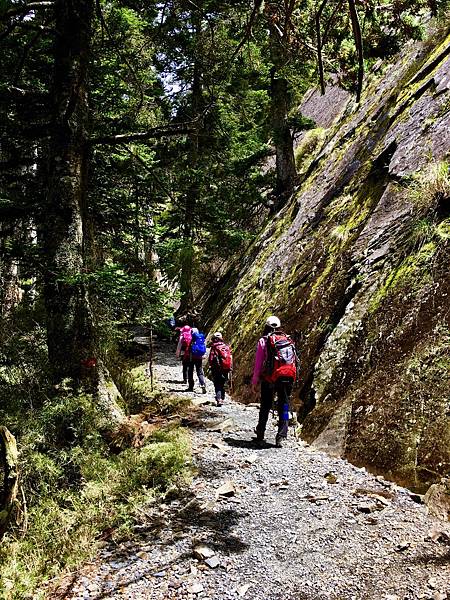 S__25059369.jpg S__25059369.jpg