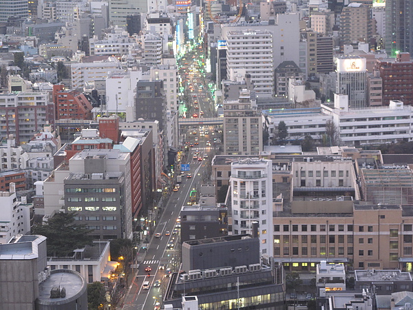 東京自助旅行 208.jpg