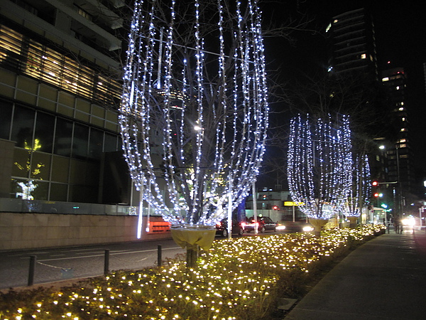 東京自助旅行 218.jpg