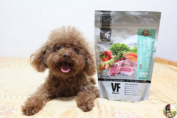 IMG_7735.jpg IMG_7735.jpg