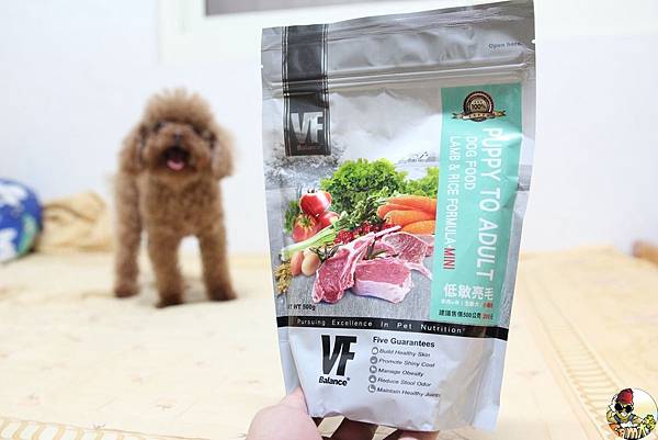 IMG_7741.jpg IMG_7741.jpg