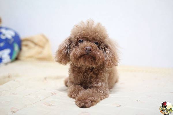 IMG_7753.jpg IMG_7753.jpg