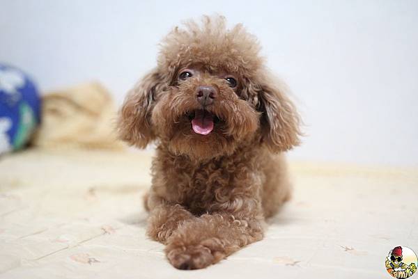 IMG_7752.jpg IMG_7752.jpg