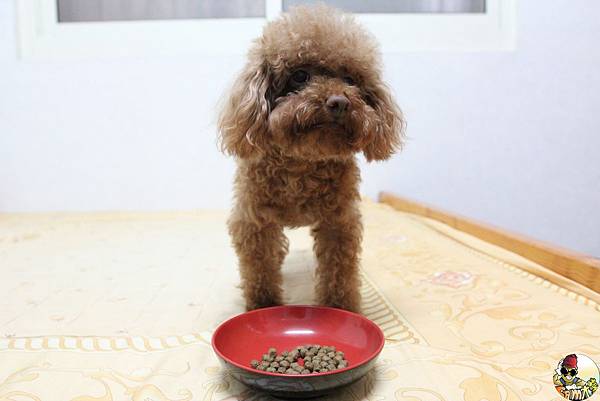 IMG_7770.jpg IMG_7770.jpg