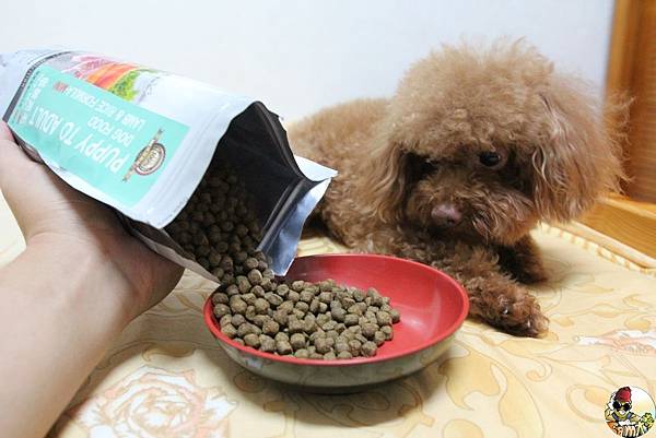 IMG_7767.jpg IMG_7767.jpg