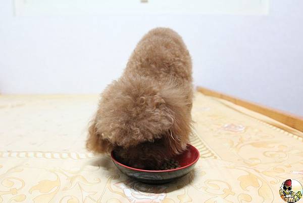 IMG_7771.jpg IMG_7771.jpg