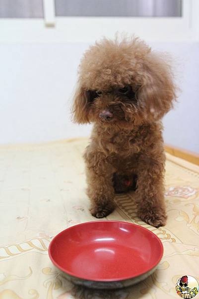 IMG_7784.jpg IMG_7784.jpg