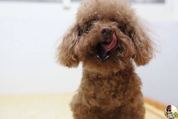 IMG_7788.jpg IMG_7788.jpg