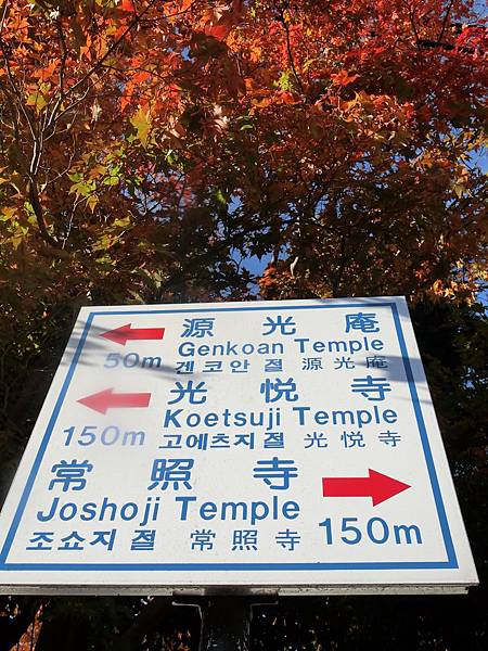 CIMG4120.JPG CIMG4120.JPG