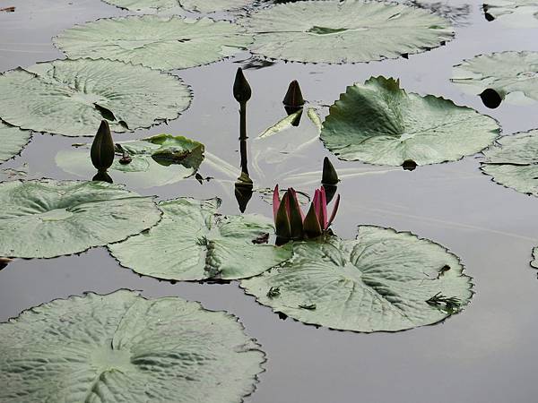 CIMG0157.JPG CIMG0157.JPG