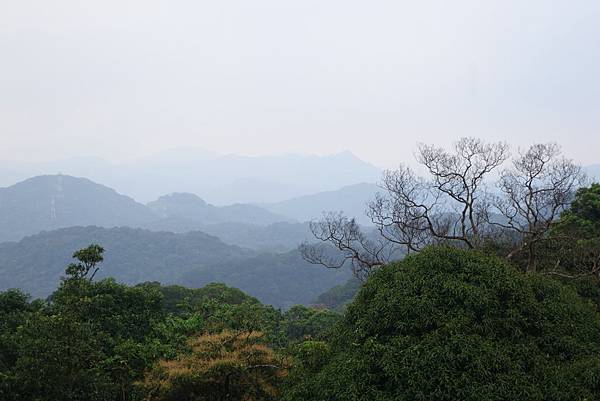 DSC08186 - 複製.JPG