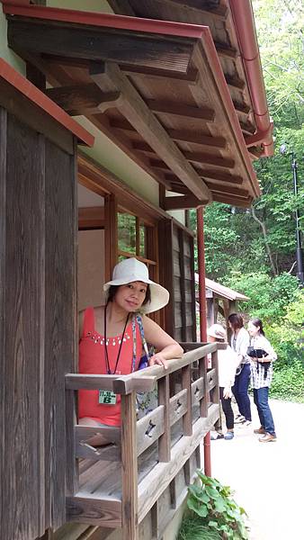 20150630_115221 20150630_115221