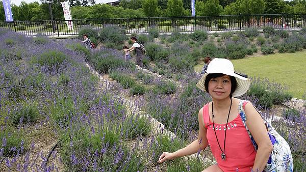 20150630_102824 20150630_102824