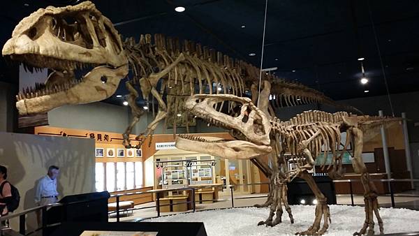 20150701_134403 20150701_134403