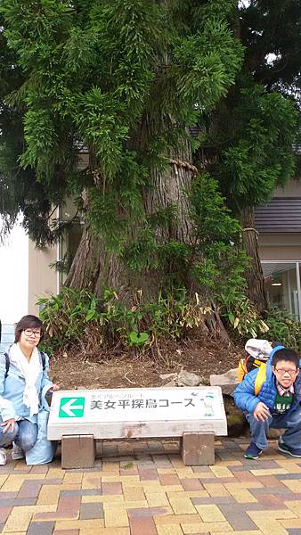 20150703_075037 20150703_075037