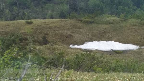 20150703_084232 20150703_084232