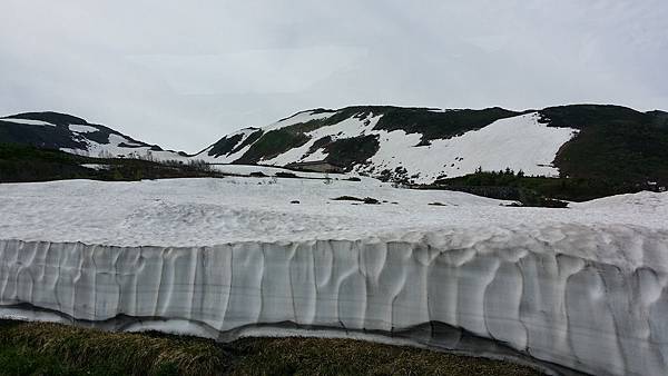 20150703_085429 20150703_085429