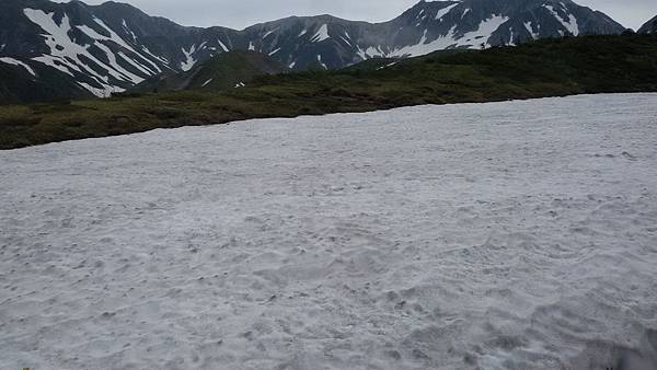 20150703_085352 20150703_085352