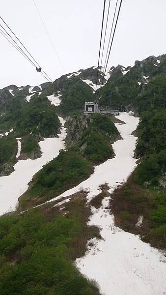 20150703_113230 20150703_113230