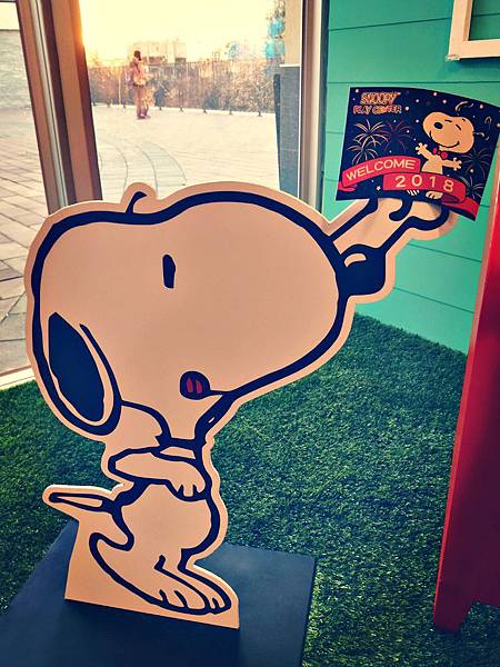 IMG20180113171546 IMG20180113171546