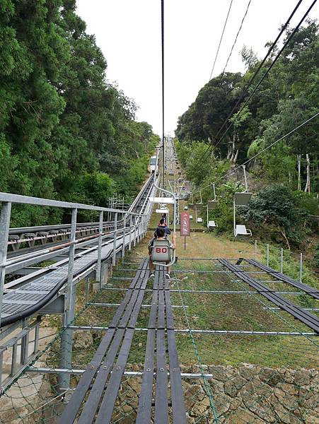 P1010055.JPG P1010055.JPG