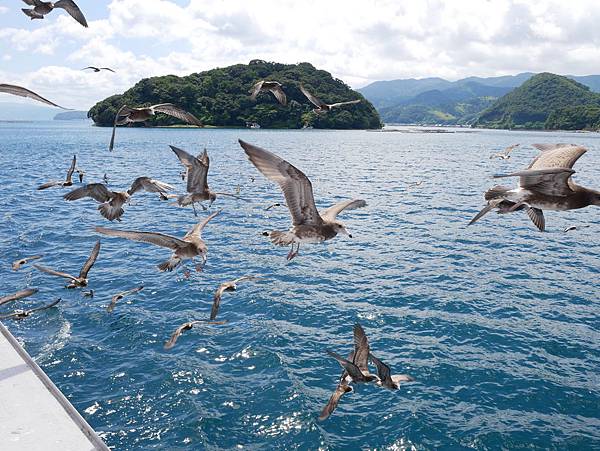 P1010094.JPG P1010094.JPG