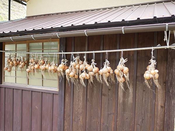 P1010136.JPG P1010136.JPG