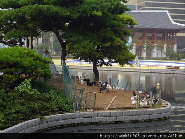 11988352_10156010566895434_7348673387845647705_n.jpg 11988352_10156010566895434_7348673387845647705_n.jpg