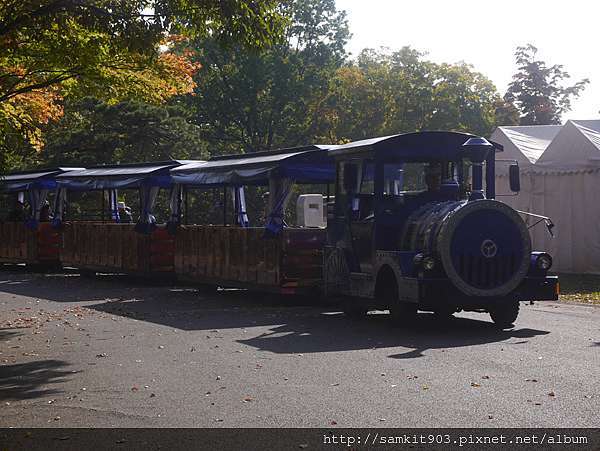 東京立川 11月初的金黃地毯国営昭和記念公園 Ultimate Wonderland 痞客邦