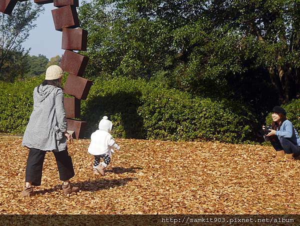 東京立川 11月初的金黃地毯国営昭和記念公園 Ultimate Wonderland 痞客邦