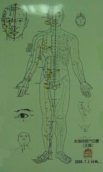 全身經絡穴位圖-正面