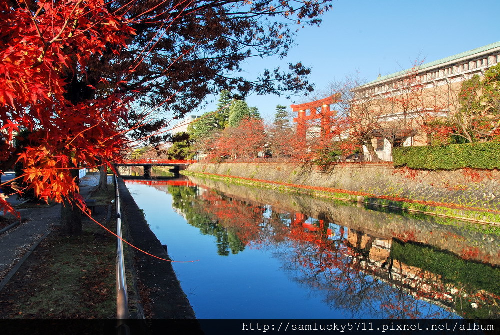 京都琵琶湖疏水道 秋末晨光中的驚喜邂逅 小沈的旅遊天地 痞客邦