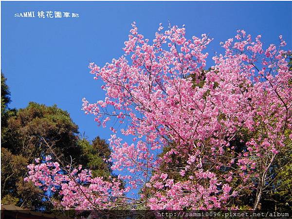 南投埔里武界山-圖/文SAMMI