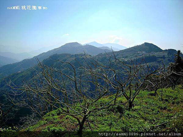 南投埔里武界山-圖/文SAMMI