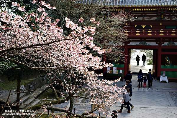 日本靜岡 景點 日本平搭纜車到久能山東照宮 參拜德川家康與欣賞神社建築 我是劉太太 寫露營寫生活 痞客邦