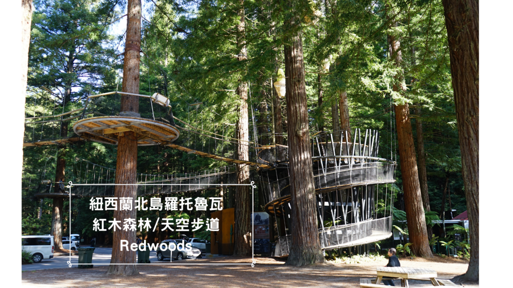 紐西蘭北島 威靈頓超好吃炸魚薯條 (19).png 紐西蘭北島 威靈頓超好吃炸魚薯條 (19).png