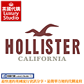 HOLLISTER.png