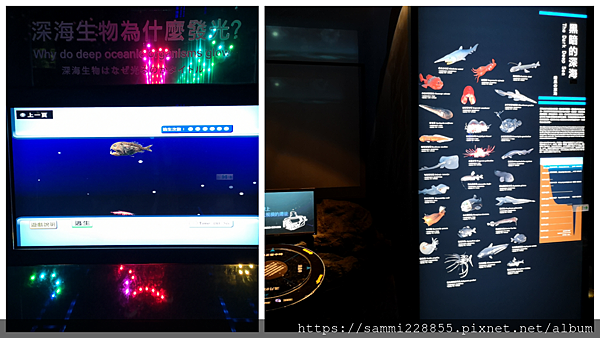 PicsArt_04-08-12.39.40.png PicsArt_04-08-12.39.40.png