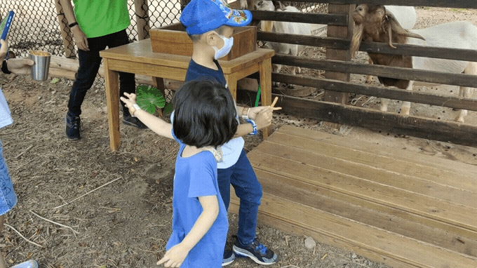 20210720_195854.gif 20210720_195854.gif
