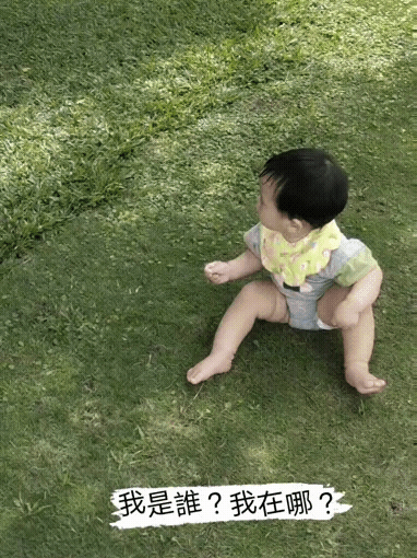 20210906_121122.gif 20210906_121122.gif