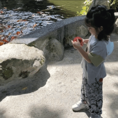 20210907_173613.gif 20210907_173613.gif
