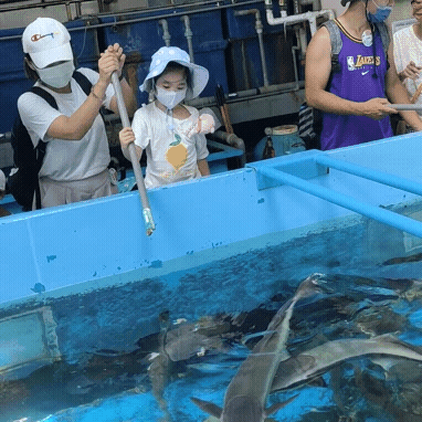 20220807_154811.gif 20220807_154811.gif
