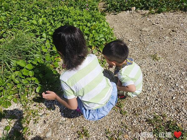 墾丁•住宿 ▎海邊1分鐘 海生館3分鐘  墾丁車城 後灣沙灘