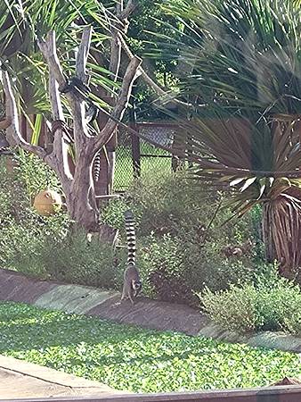 DSC_0052.JPG DSC_0052.JPG