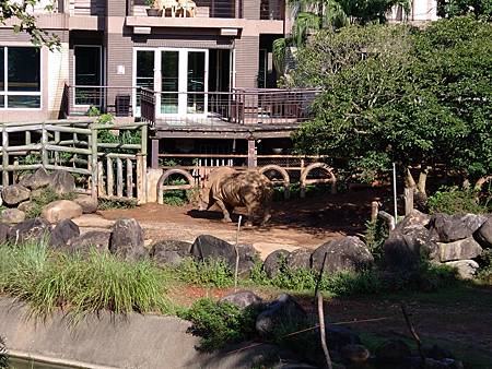 DSC_0053.JPG DSC_0053.JPG